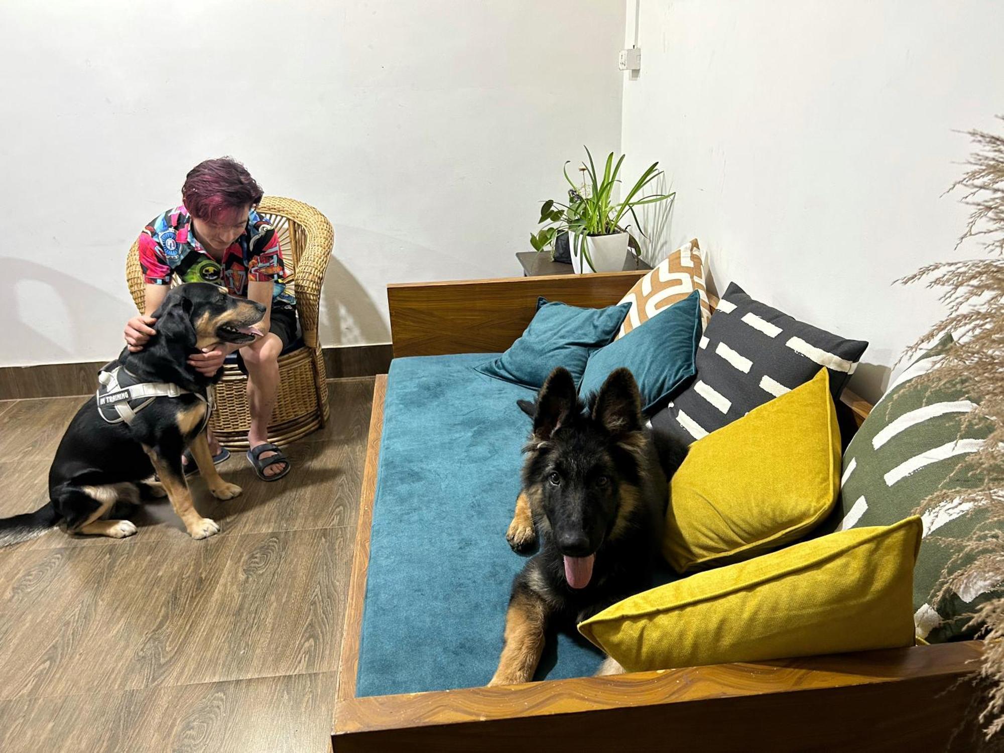 Hostel House Of Nomad Gangtok Zewnętrze zdjęcie