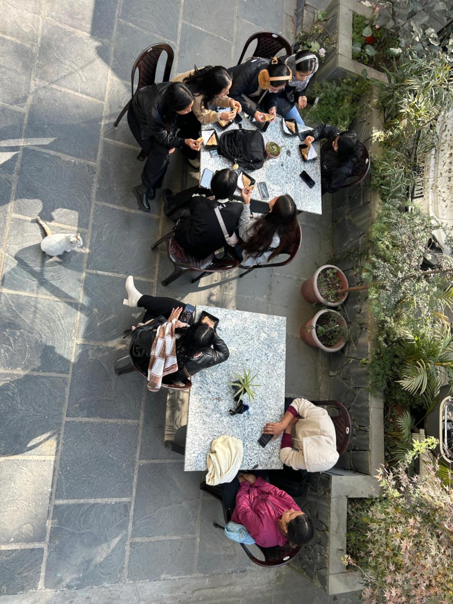 Hostel House Of Nomad Gangtok Zewnętrze zdjęcie